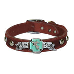 In Dog We Trust Collar in Black & Brown (Plain/Studded)