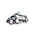 Silver Twigs Ring